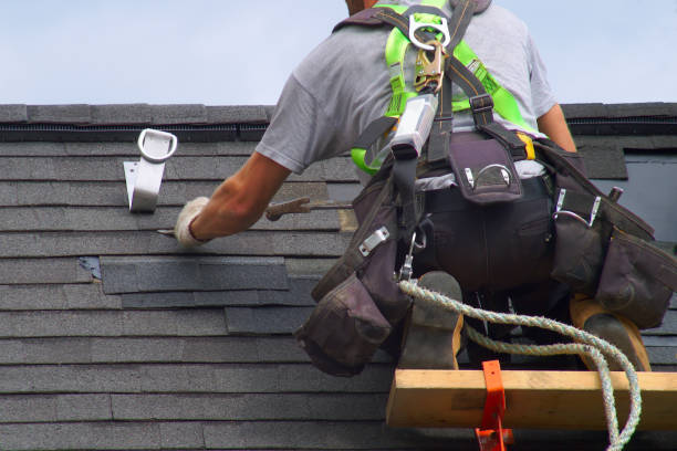 Best Storm Damage Roof Repair  in Cortland, NY