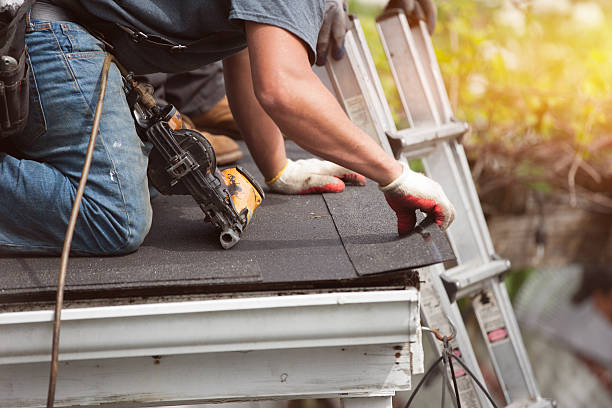 Best Roof Gutter Cleaning  in Cortland, NY